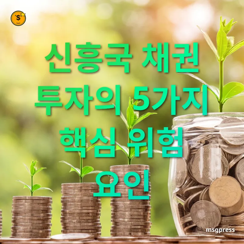 신흥국 채권 투자 - 환율 변동성 신흥국 채권 투자 환율 변동성 관련 이미지