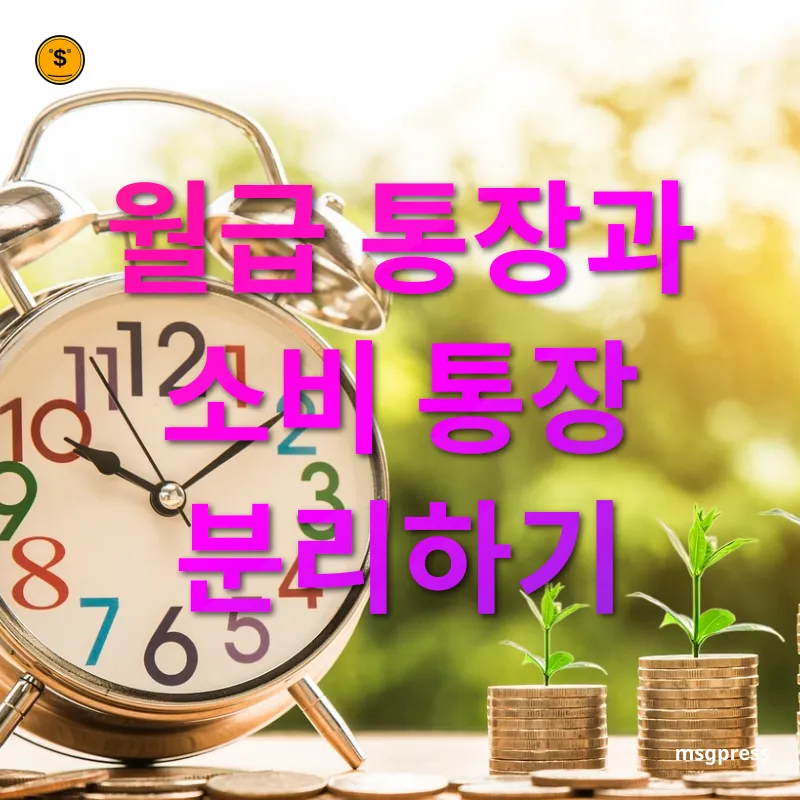 재무 관리 - 근본적인 해결책, 통장 분리 재무 관리 근본적인 해결책, 통장 분리 관련 이미지