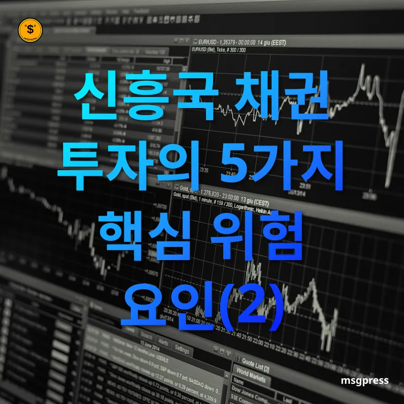 신흥국 채권 투자 - 신흥국 채권 투자의 5가지 핵심 위험 요인(2) 신흥국 채권 투자 신흥국 채권 투자의 5가지 핵심 위험 요인(2) 관련 이미지