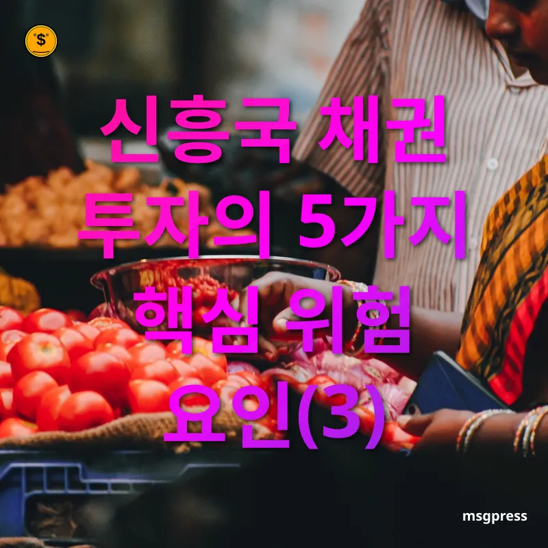 신흥국 채권 투자 - 신흥국 채권 투자의 5가지 핵심 위험 요인(3) 신흥국 채권 투자 신흥국 채권 투자의 5가지 핵심 위험 요인(3) 관련 이미지