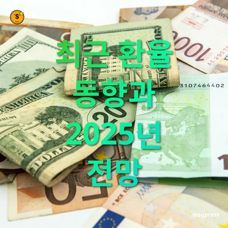 환율 변동 원리 - 최근 환율 동향과 2025년 전망 환율 변동 원리 최근 환율 동향과 2025년 전망 관련 이미지